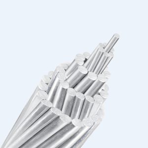 Dây nhôm lõi thép trần TCVN 5064