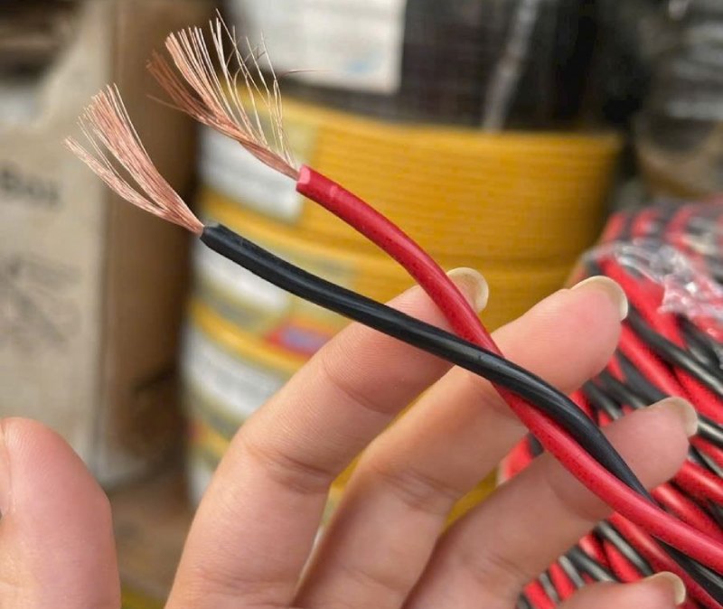 Dây loa đỏ đen là gì?