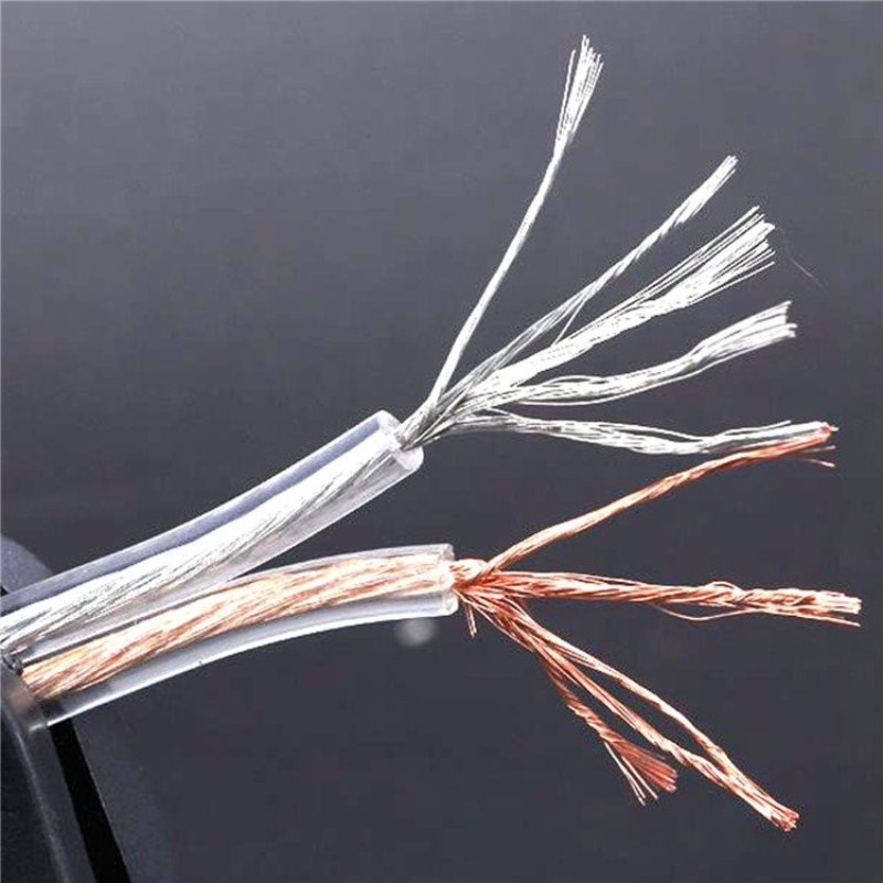 Dây loa trong suốt là gì?