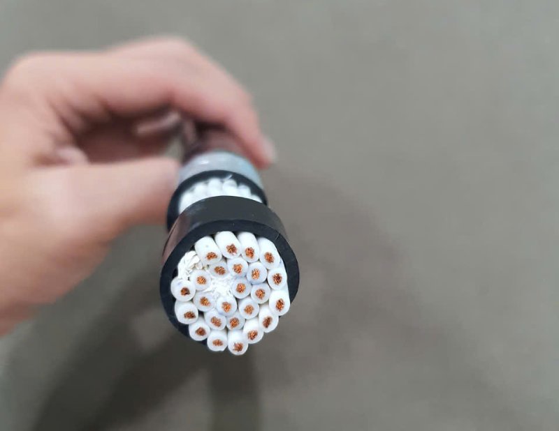 Các loại dây tín hiệu (dây điều khiển) thông dụng hiện nay