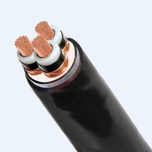 CXV/DSTA – AXV/DSTA