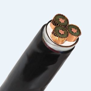 CXV/SEhh/DSTA – 3 Lõi